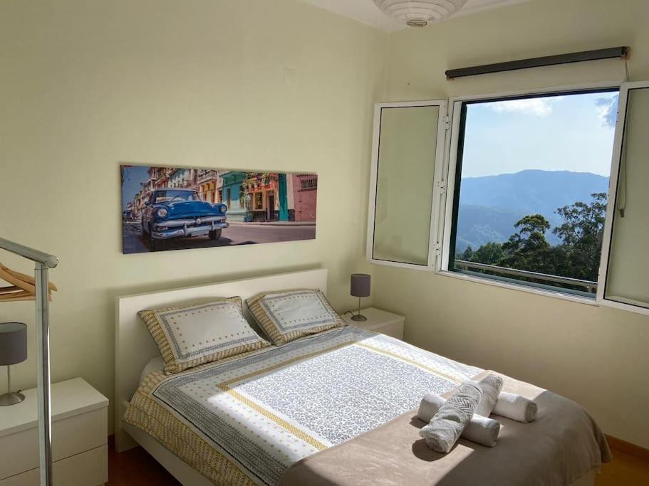 Santo Antonio da Serra The Hideaway Retreatヴィラ エクステリア 写真